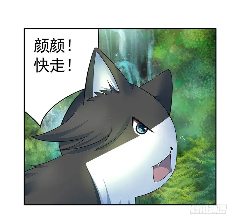 你可记得一只从天而降的大猫 第24页