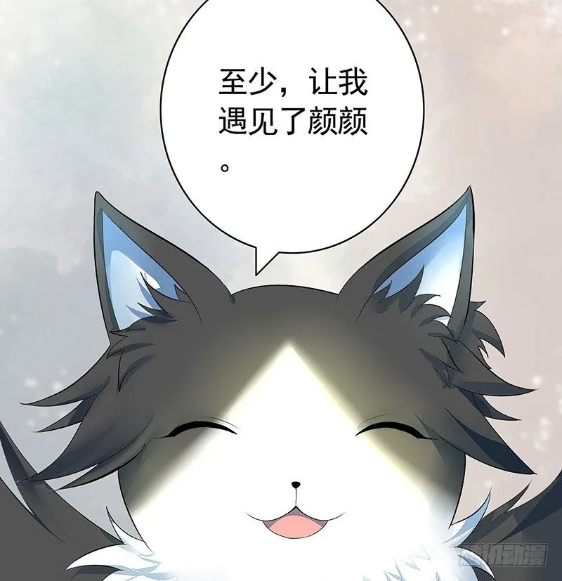 你可记得一只从天而降的大猫 第31页