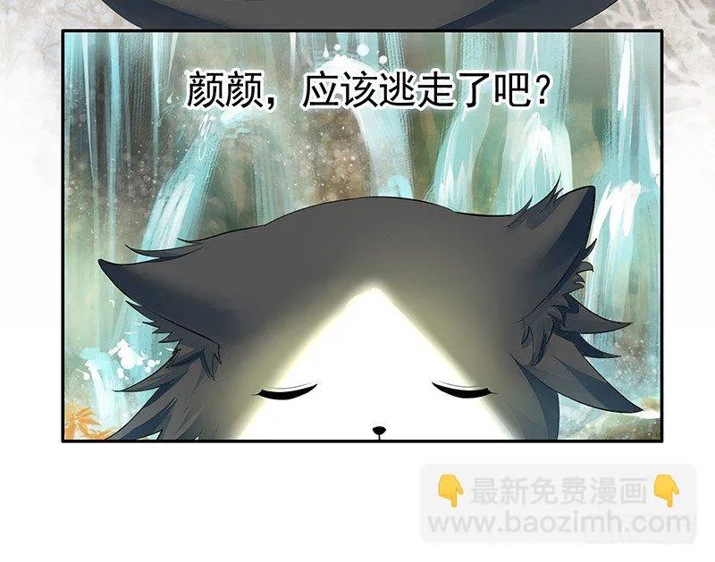 你可记得一只从天而降的大猫 第33页