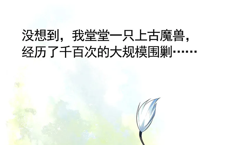 你可记得一只从天而降的大猫 第35页