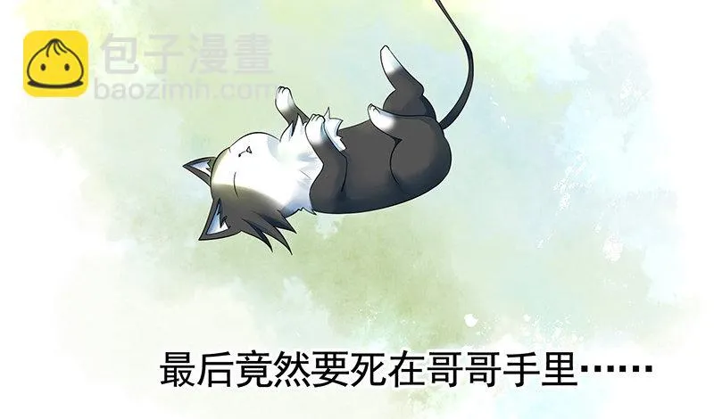 你可记得一只从天而降的大猫 第36页