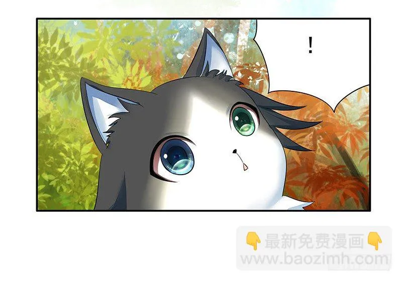 你可记得一只从天而降的大猫 第37页