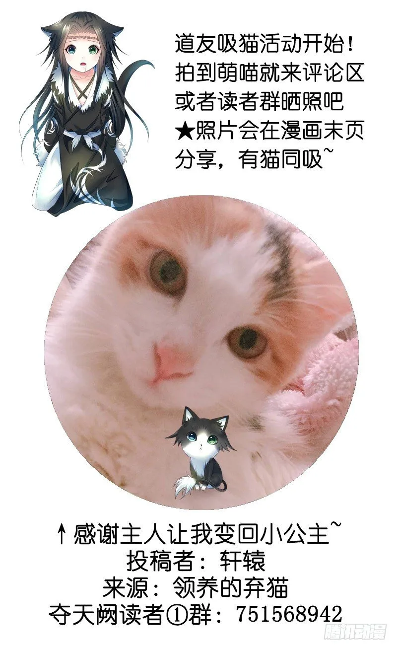 你可记得一只从天而降的大猫 第40页