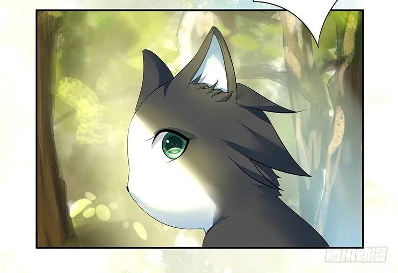 真拿你这只小猫咪没法子 第19页