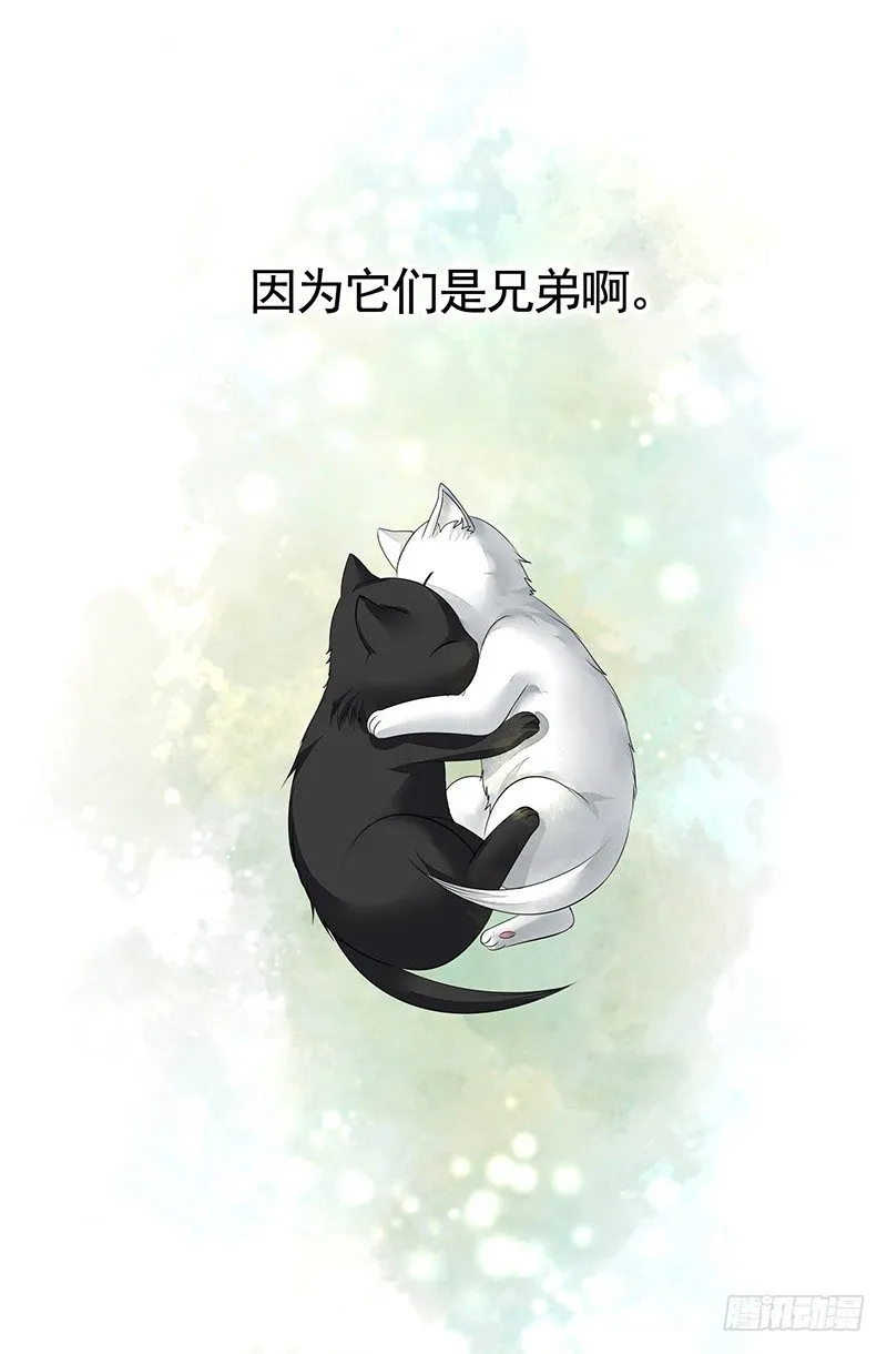 真拿你这只小猫咪没法子 第30页