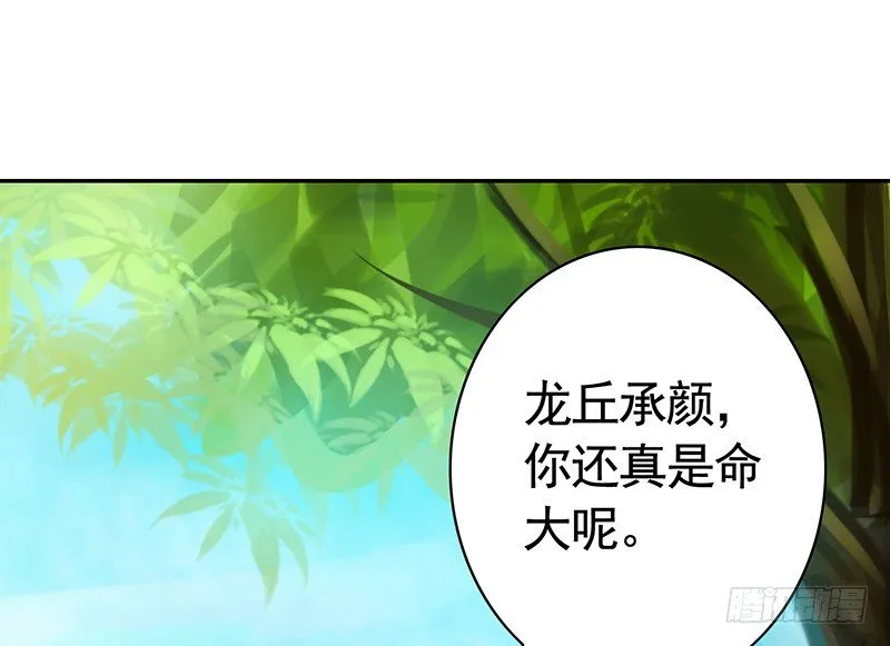 我，女二，打女主！ 第15页