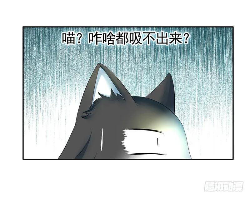 女人你这是在玩猫 第9页