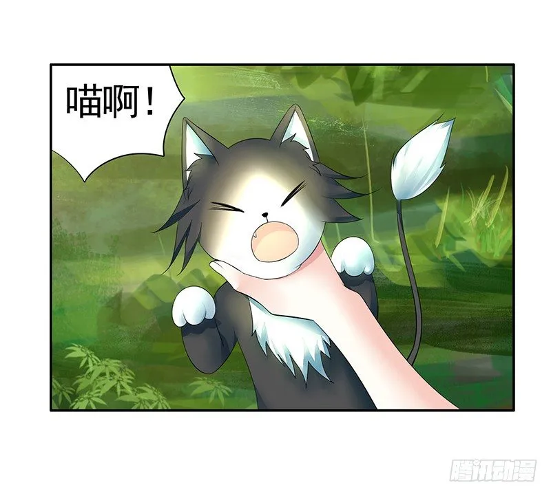 女人你这是在玩猫 第10页