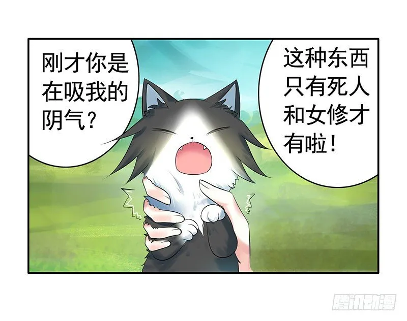 女人你这是在玩猫 第12页
