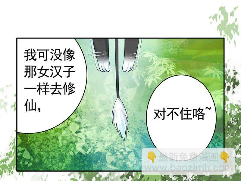 女人你这是在玩猫 第13页