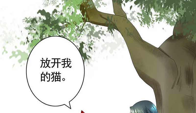 女人你这是在玩猫 第15页