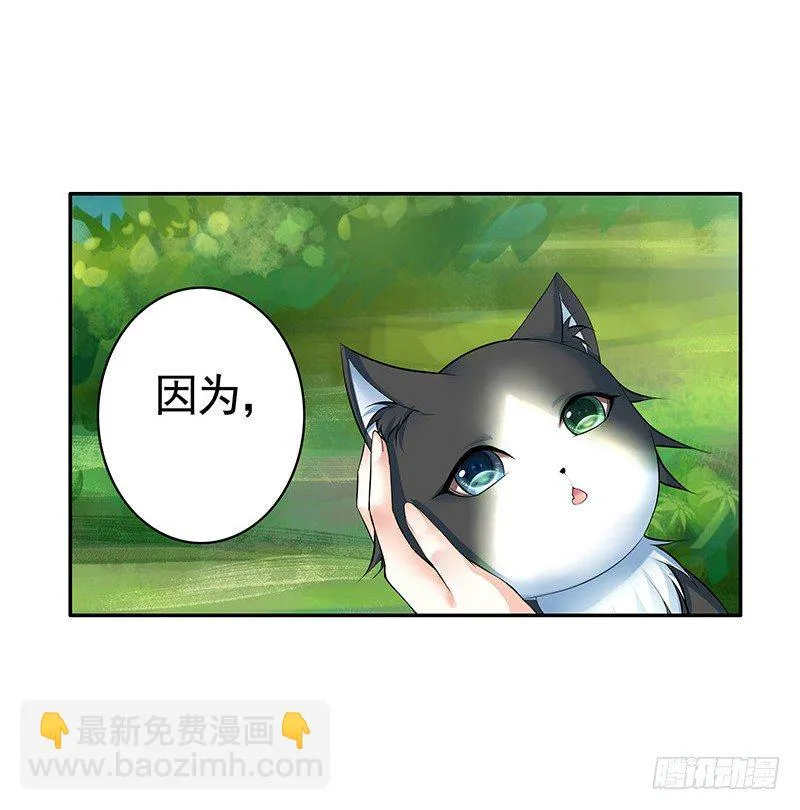 女人你这是在玩猫 第22页