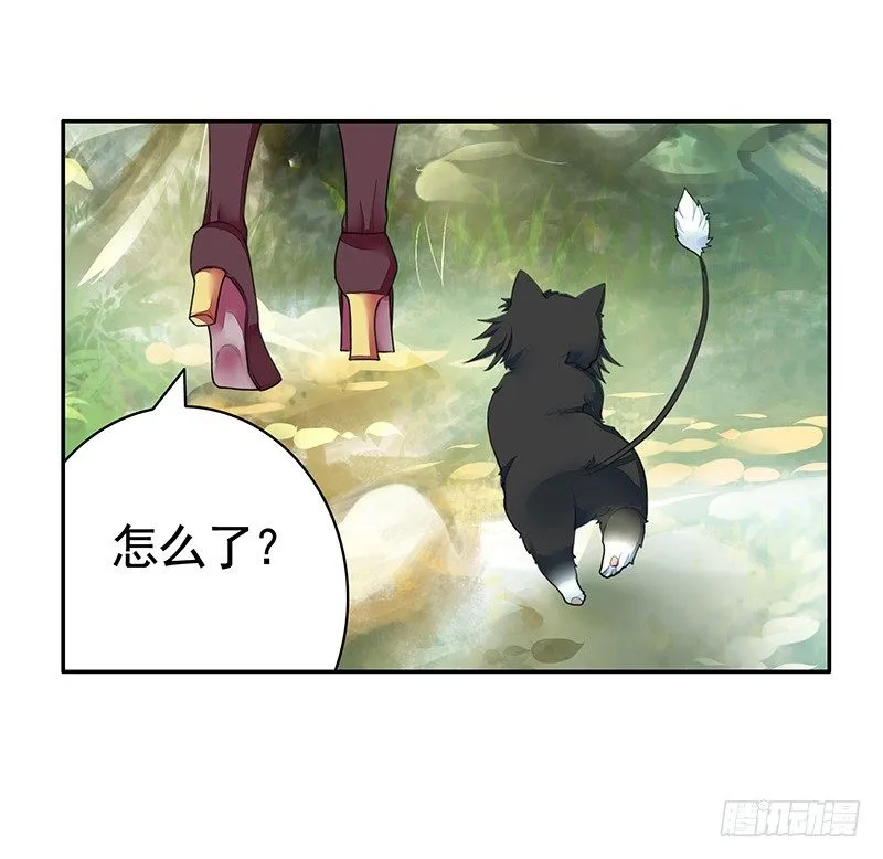 女人你这是在玩猫 第27页