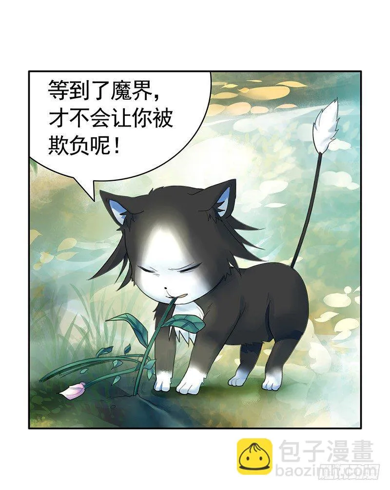女人你这是在玩猫 第31页