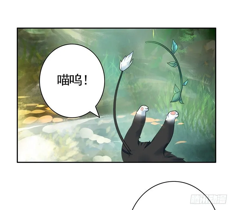 女人你这是在玩猫 第32页