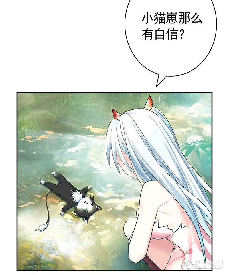 女人你这是在玩猫 第33页