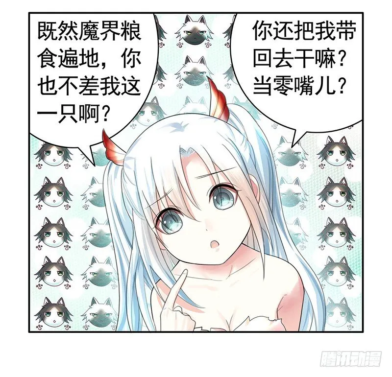 女人你这是在玩猫 第35页
