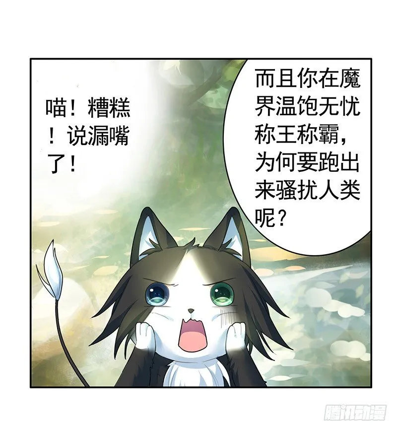 女人你这是在玩猫 第36页