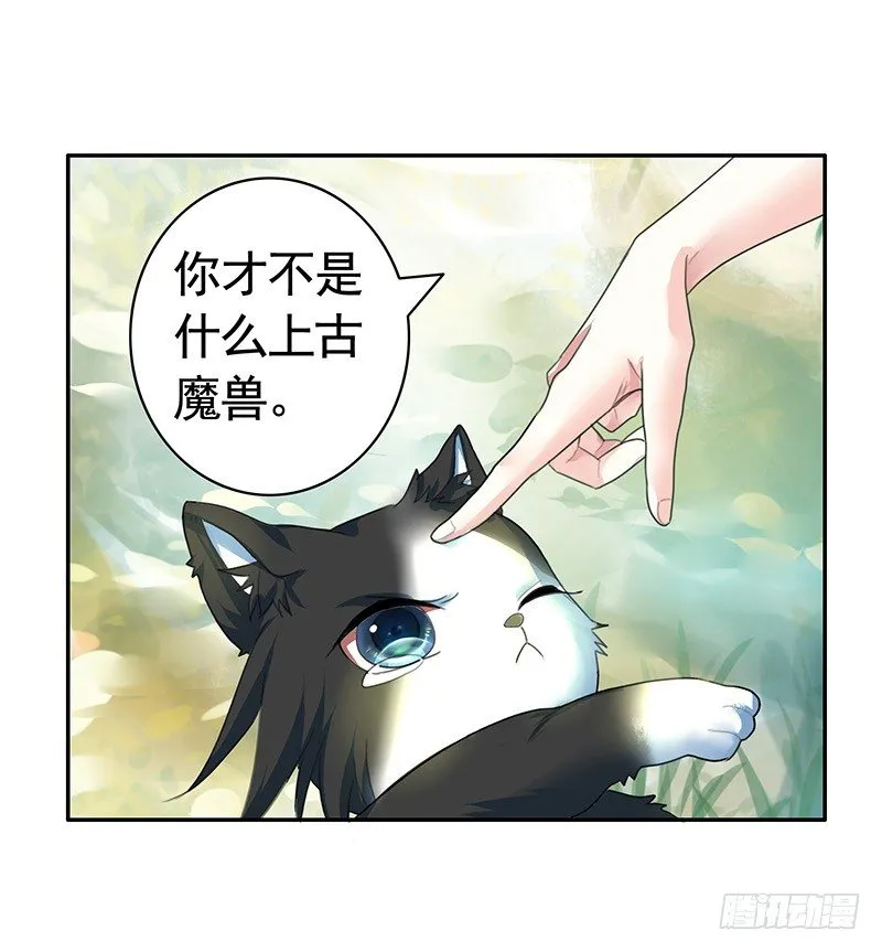 女人你这是在玩猫 第40页