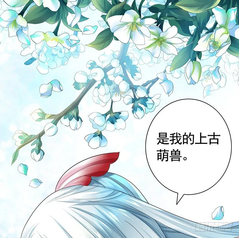 女人你这是在玩猫 第41页