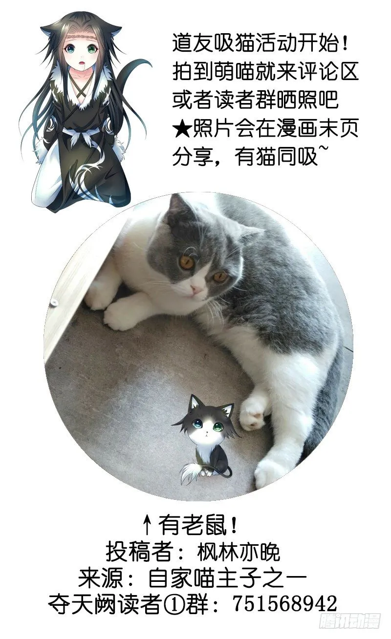 女人你这是在玩猫 第44页