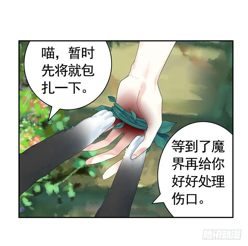 欠了猫情是要还的 第1页