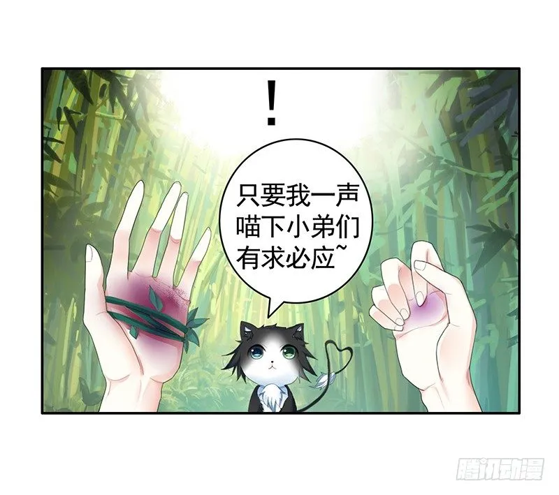 欠了猫情是要还的 第10页