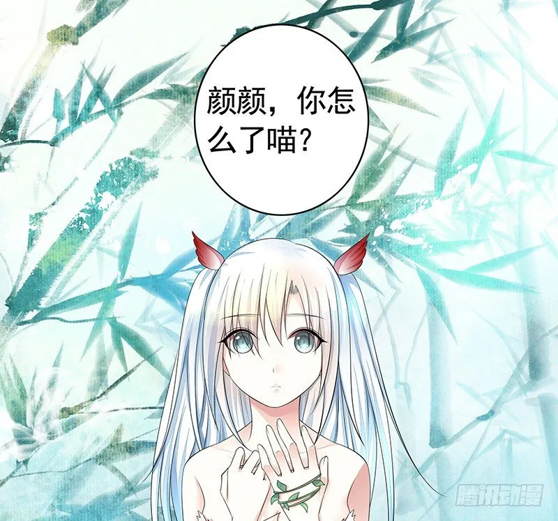 欠了猫情是要还的 第19页