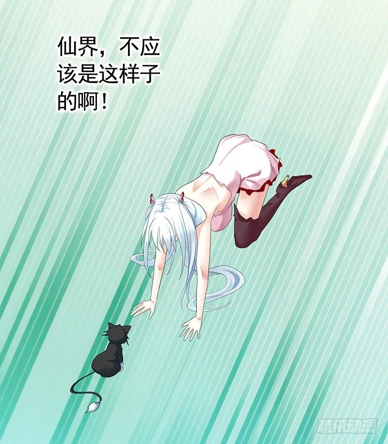 欠了猫情是要还的 第34页