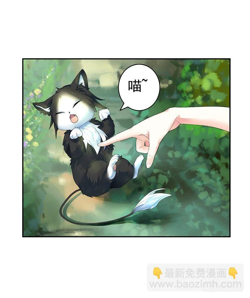 欠了猫情是要还的 第39页