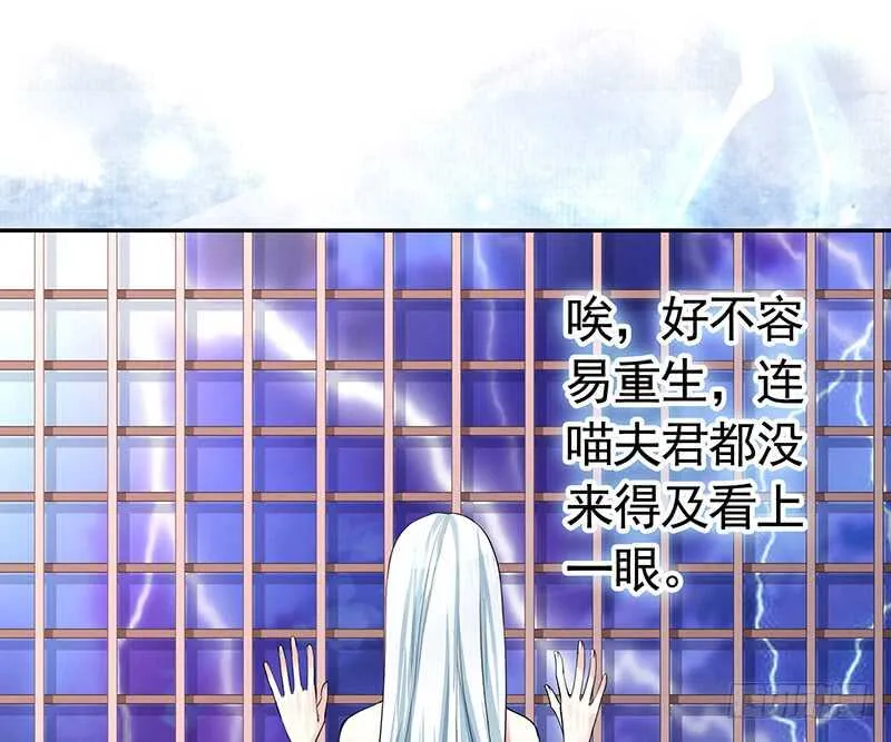 九天玄雷来劈我吧 第33页