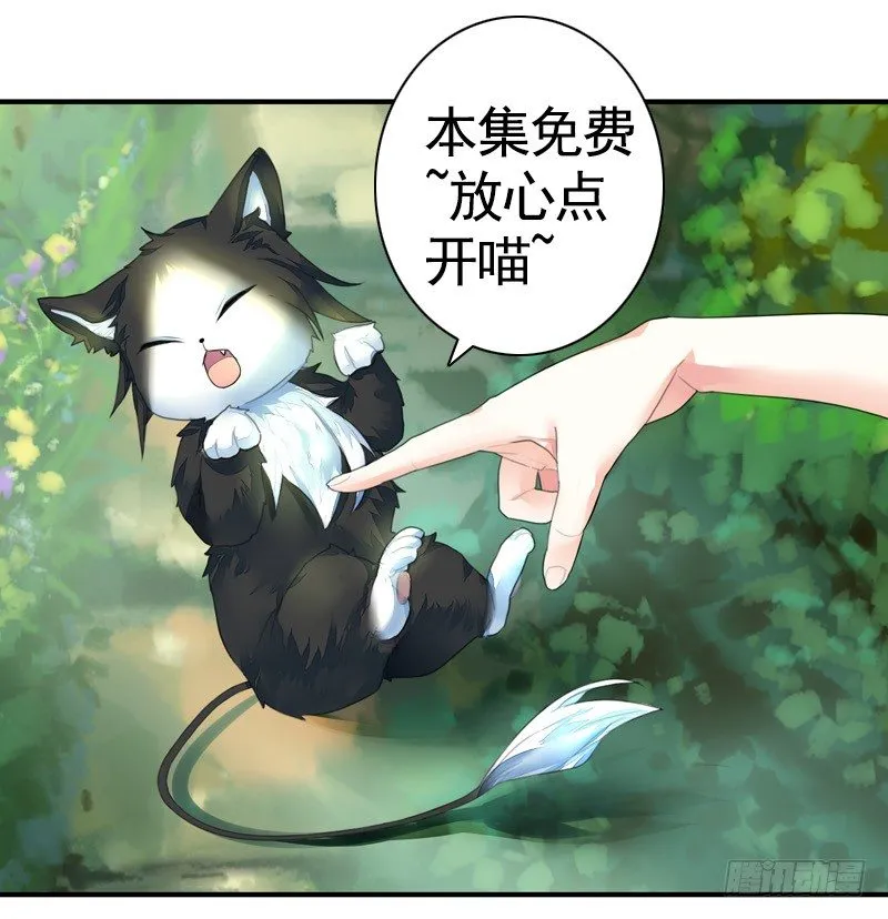 本集免费，一起吸猫！ 第1页