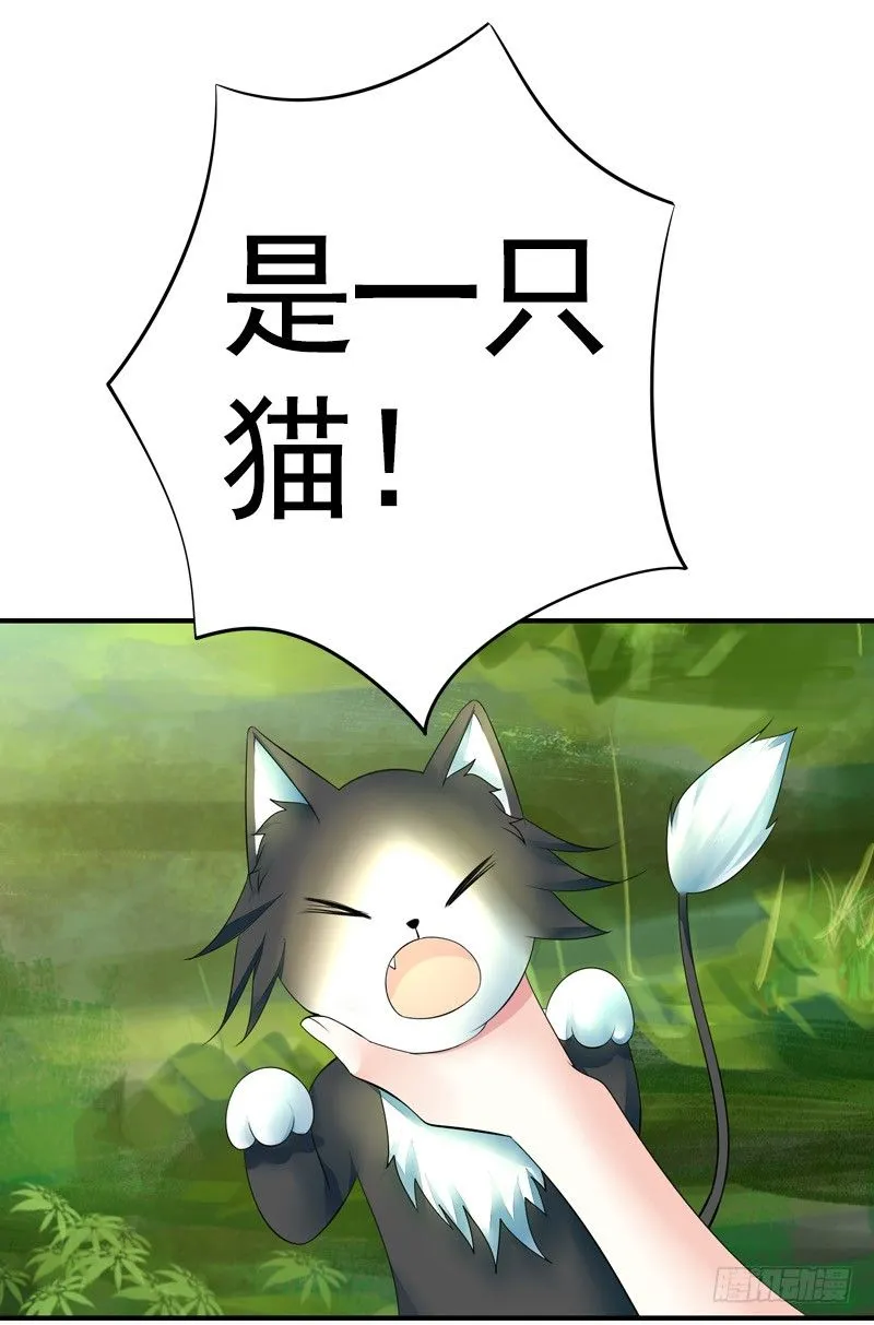 本集免费，一起吸猫！ 第4页