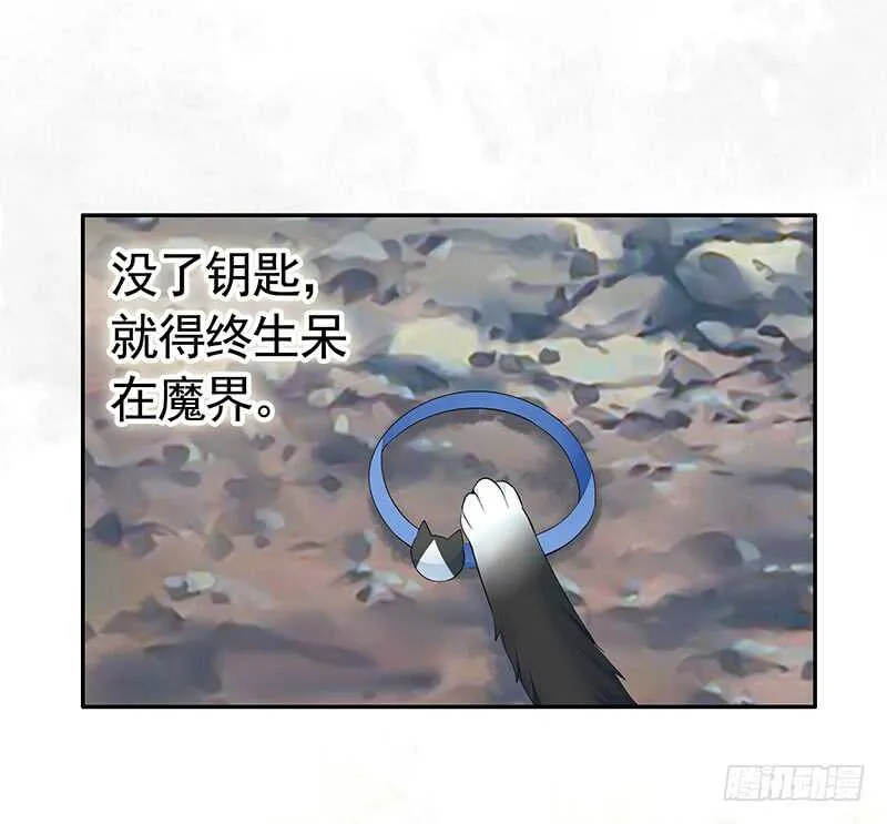 为你，我所向披靡 第15页