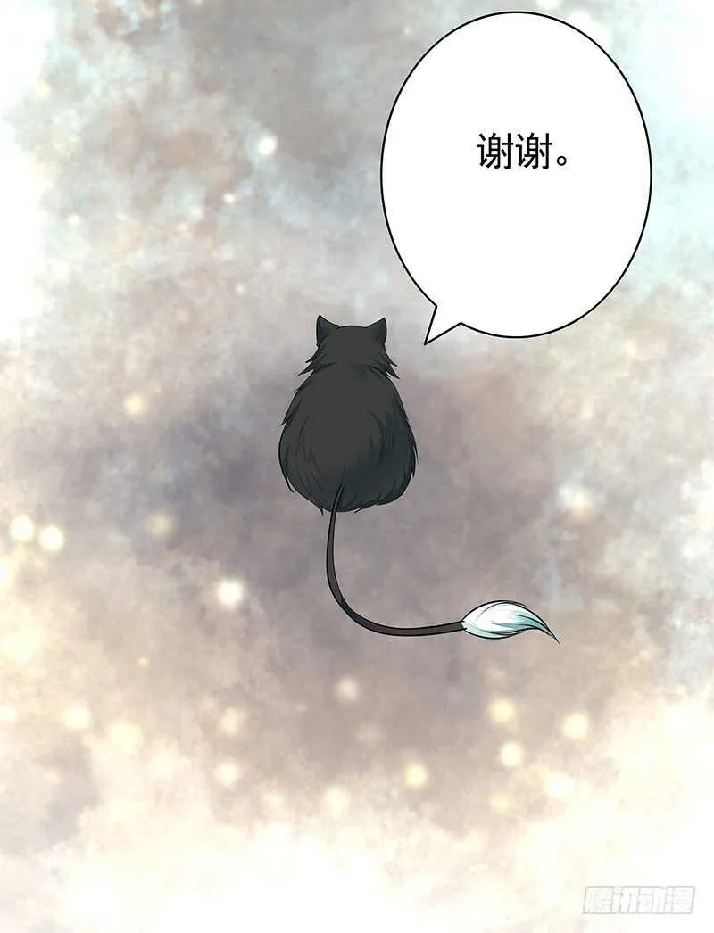 为你，我所向披靡 第18页