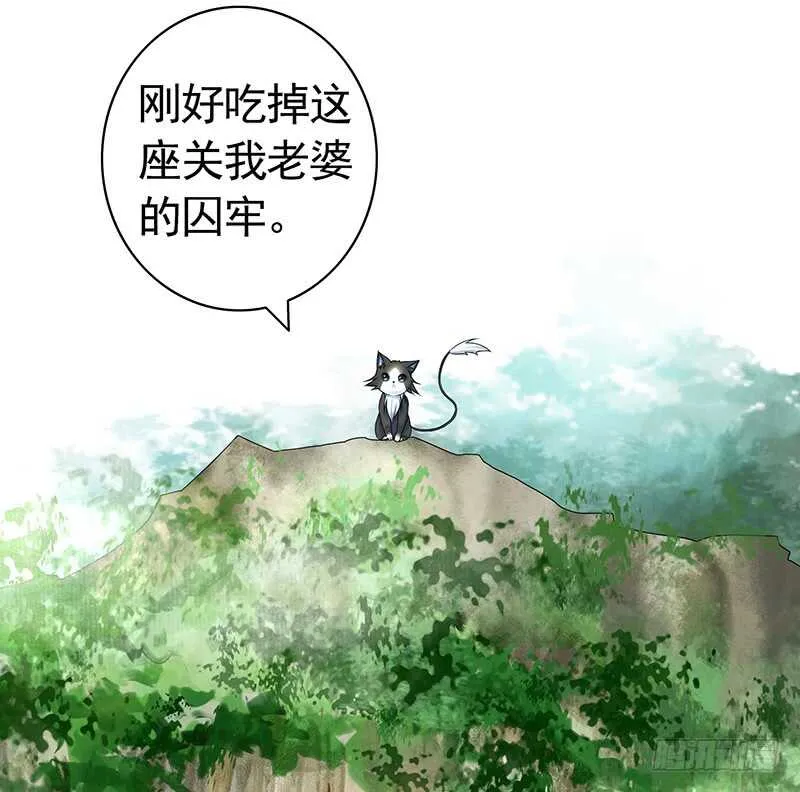 为你，我所向披靡 第29页