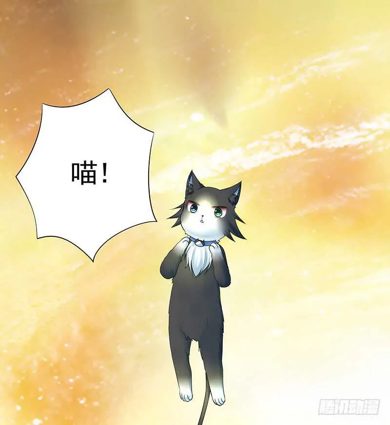 老婆看我帅不帅 第40页