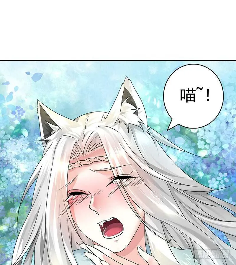 把你摸得喵喵叫 第17页