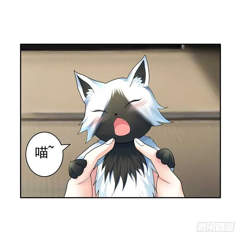 把你摸得喵喵叫 第41页