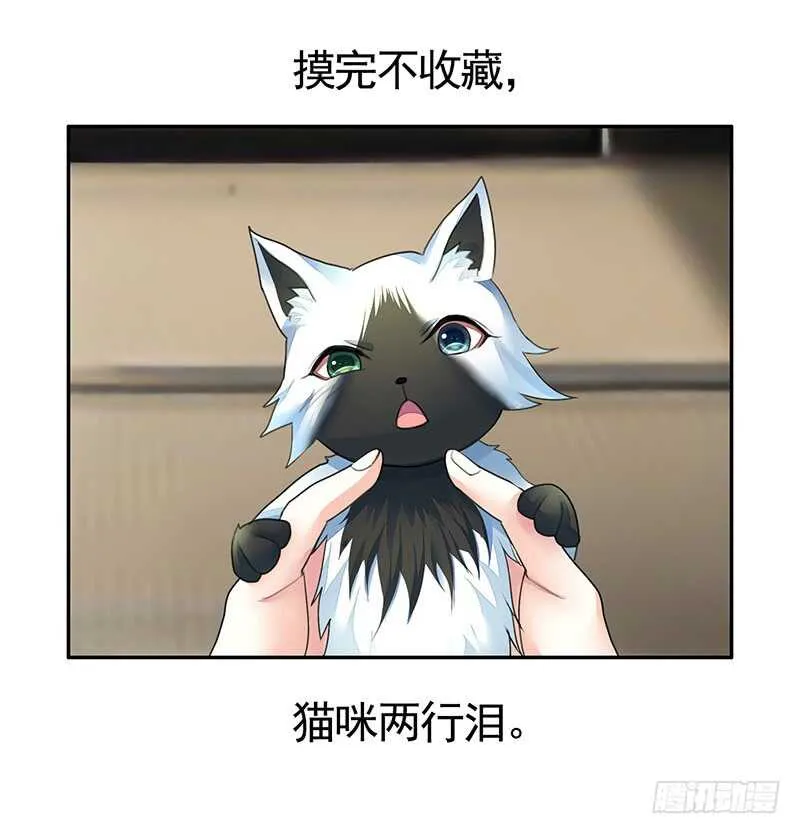 把你摸得喵喵叫 第42页