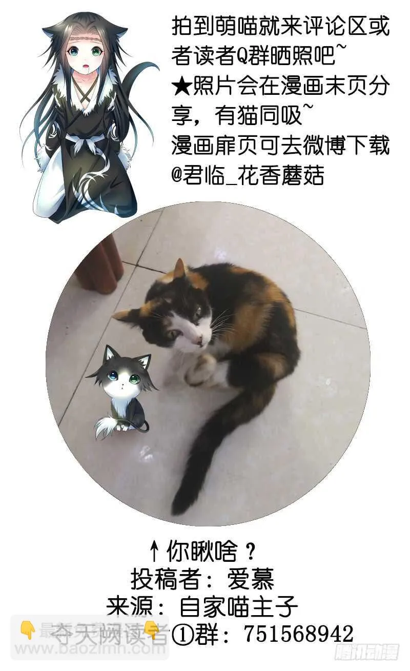 你好，我来抢亲 第43页
