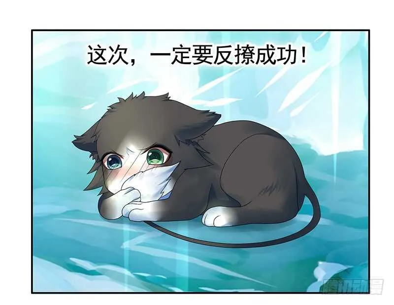 背过身去都能撩你 第54页