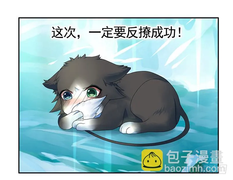 这回看你怎么撩我 第4页