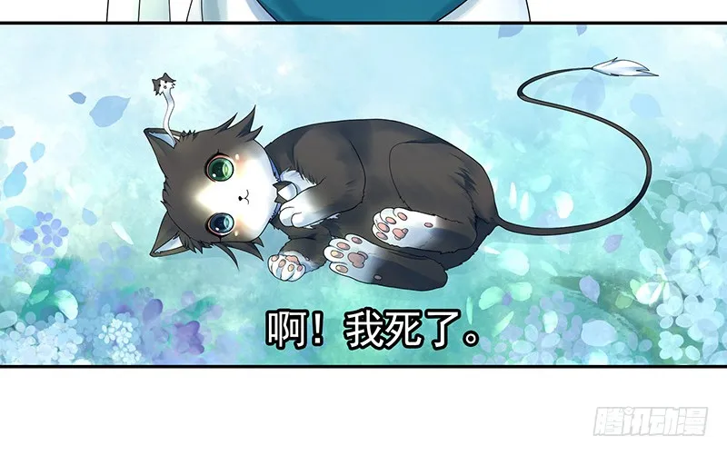 这回看你怎么撩我 第8页