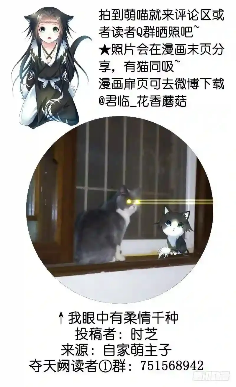 逛个街就五连绝世 第44页