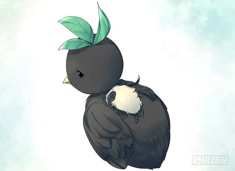 切入后排成功吃鸡 第36页