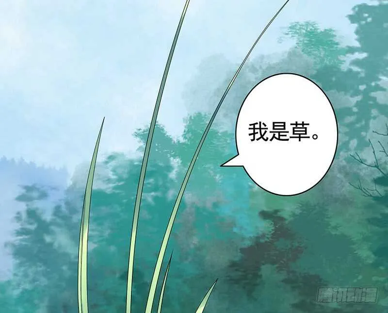 她的坟头草已三米高 第45页