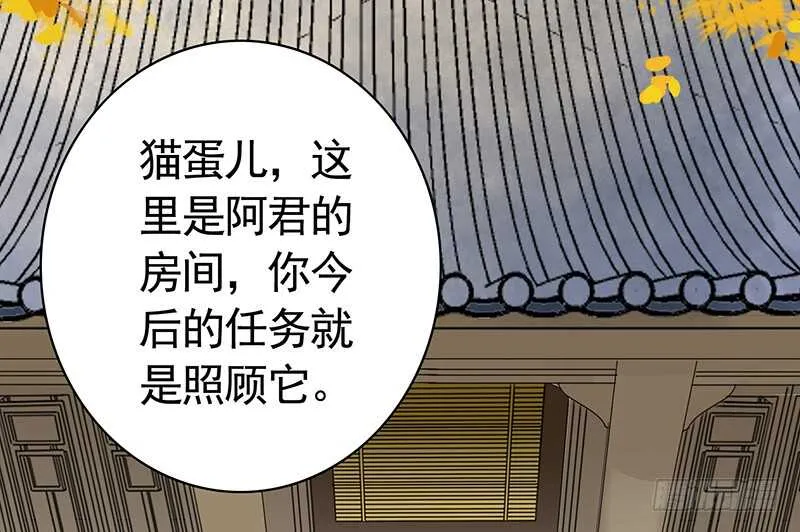 她的坟头草已三米高 第53页
