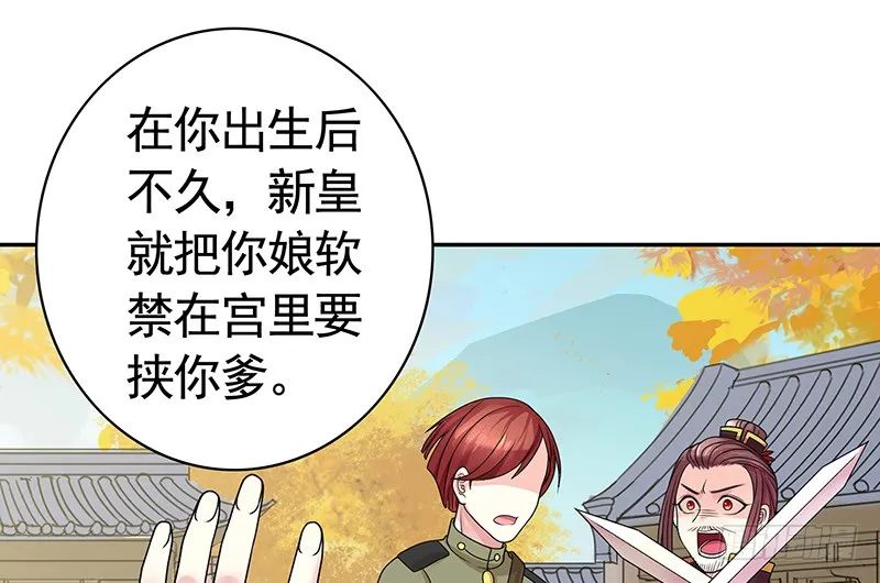 英雄为我尽折腰 第41页