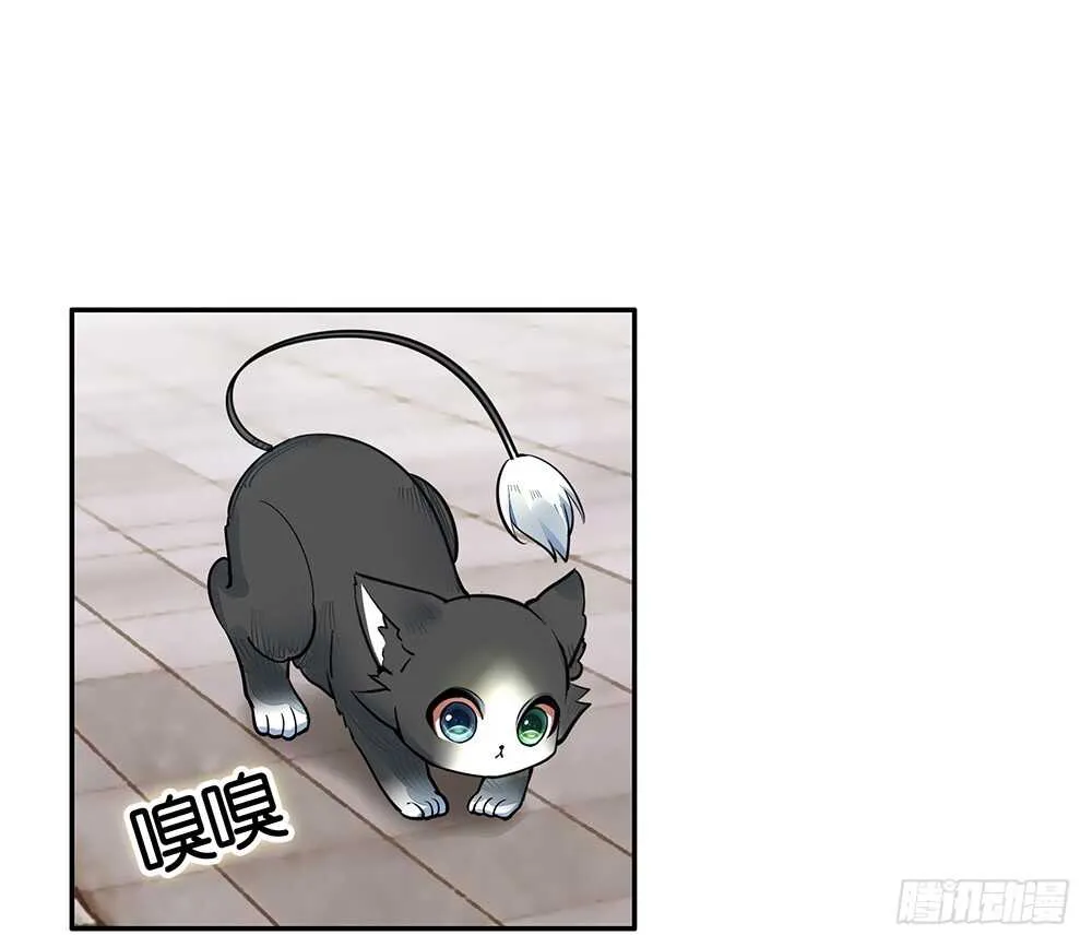 我疯起来自己人都砍 第36页